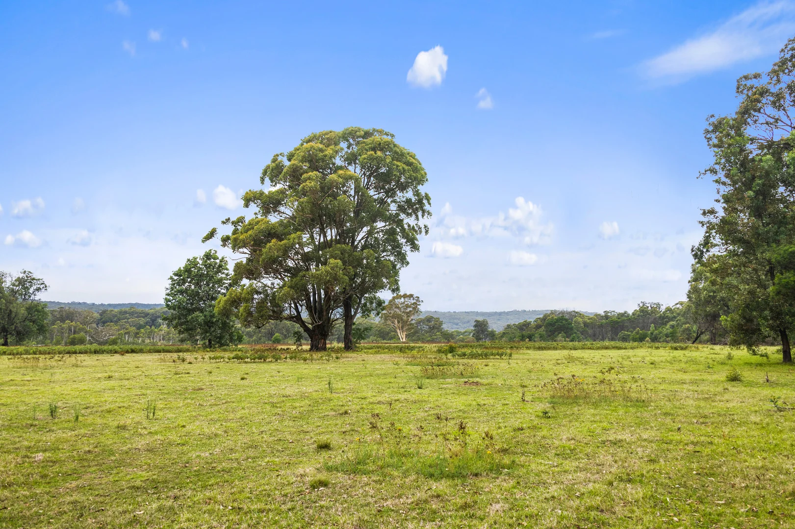 Additional image 7 of 633A Hanging Rock Road, Paddys River NSW 2577