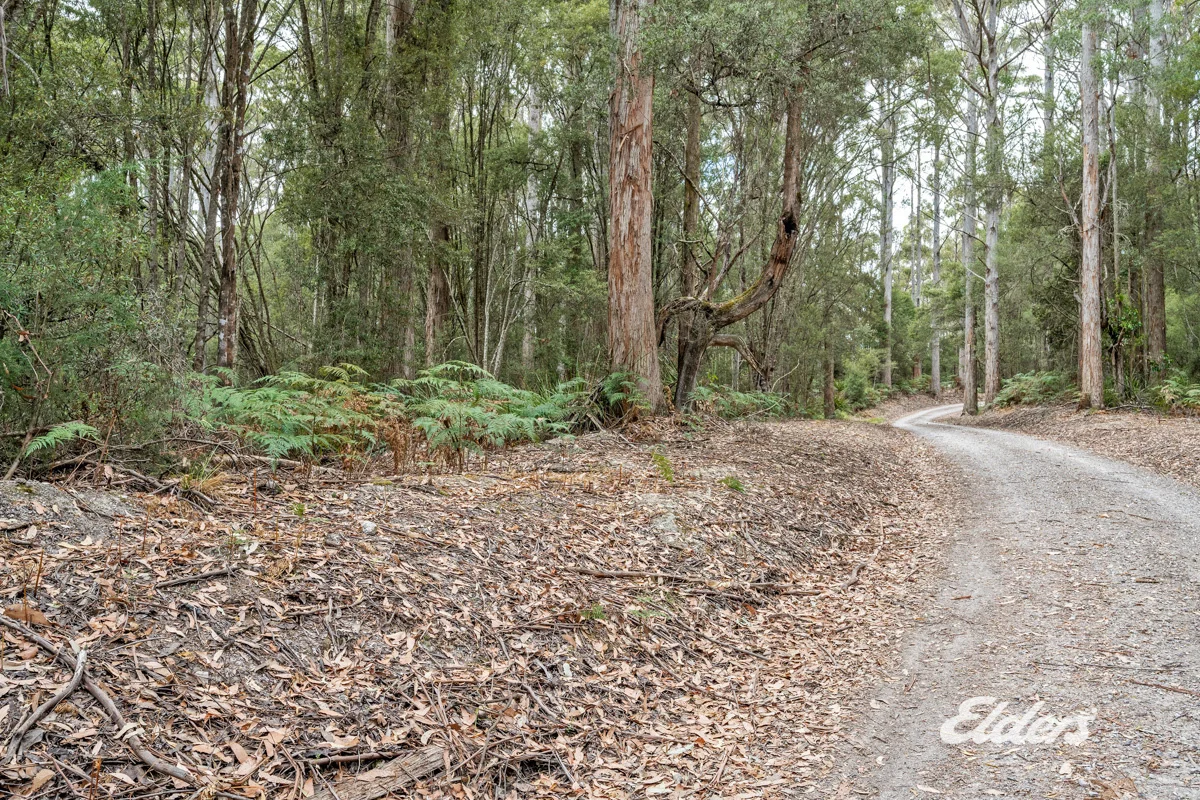 Additional image 17 of Faheys Lane, Irishtown TAS 7330