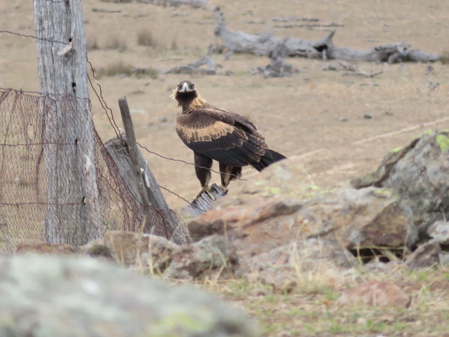 Additional image 12 of 210 Burns Road, Ullamalla, Mudgee NSW 2850