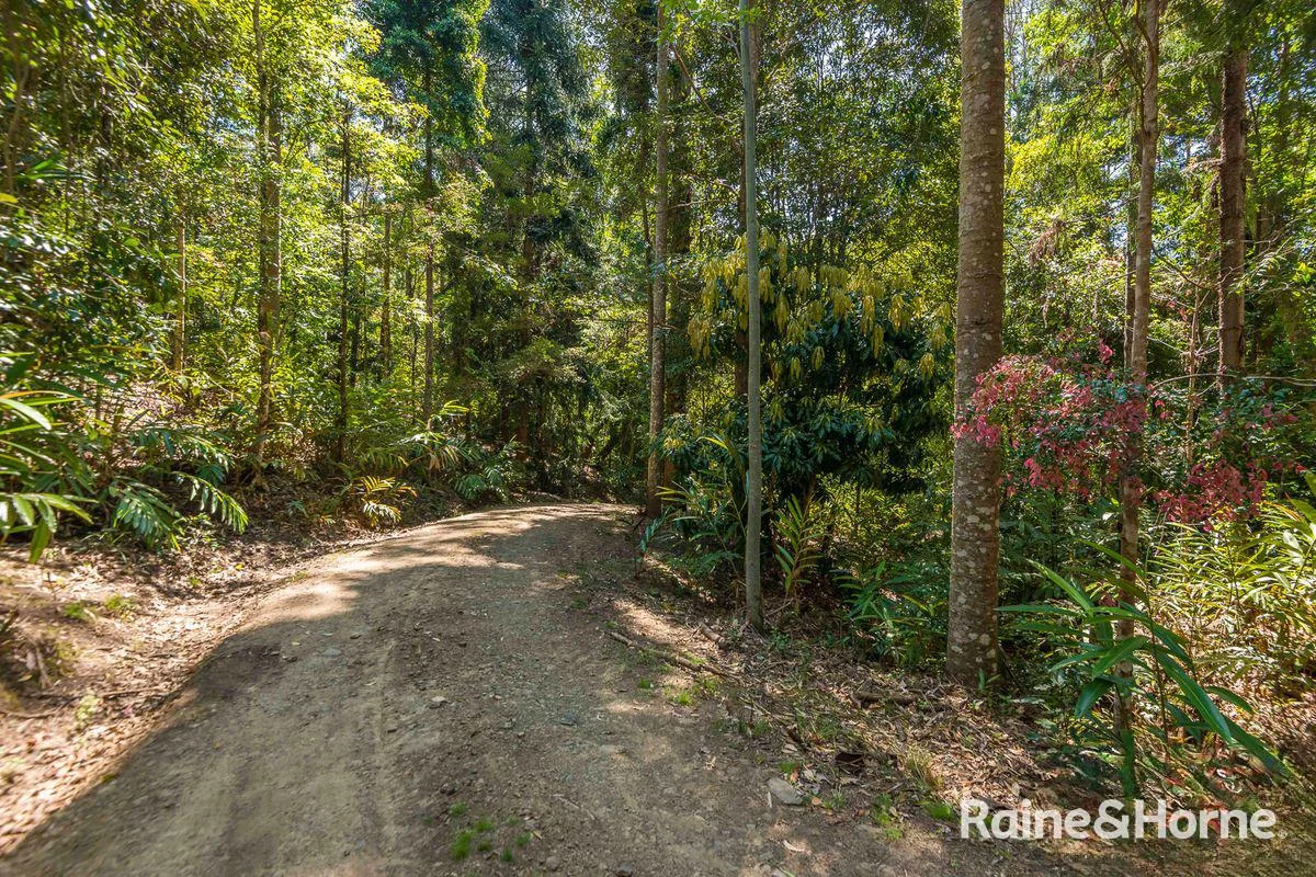 Additional image 15 of 7/321 Blackhorse Road, Eden Creek via, Kyogle NSW 2474
