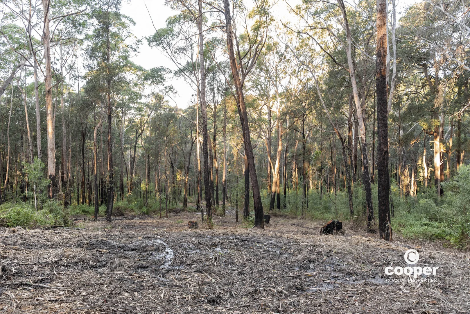 Additional image 15 of 56A Kingiman Road, Woodburn NSW 2538