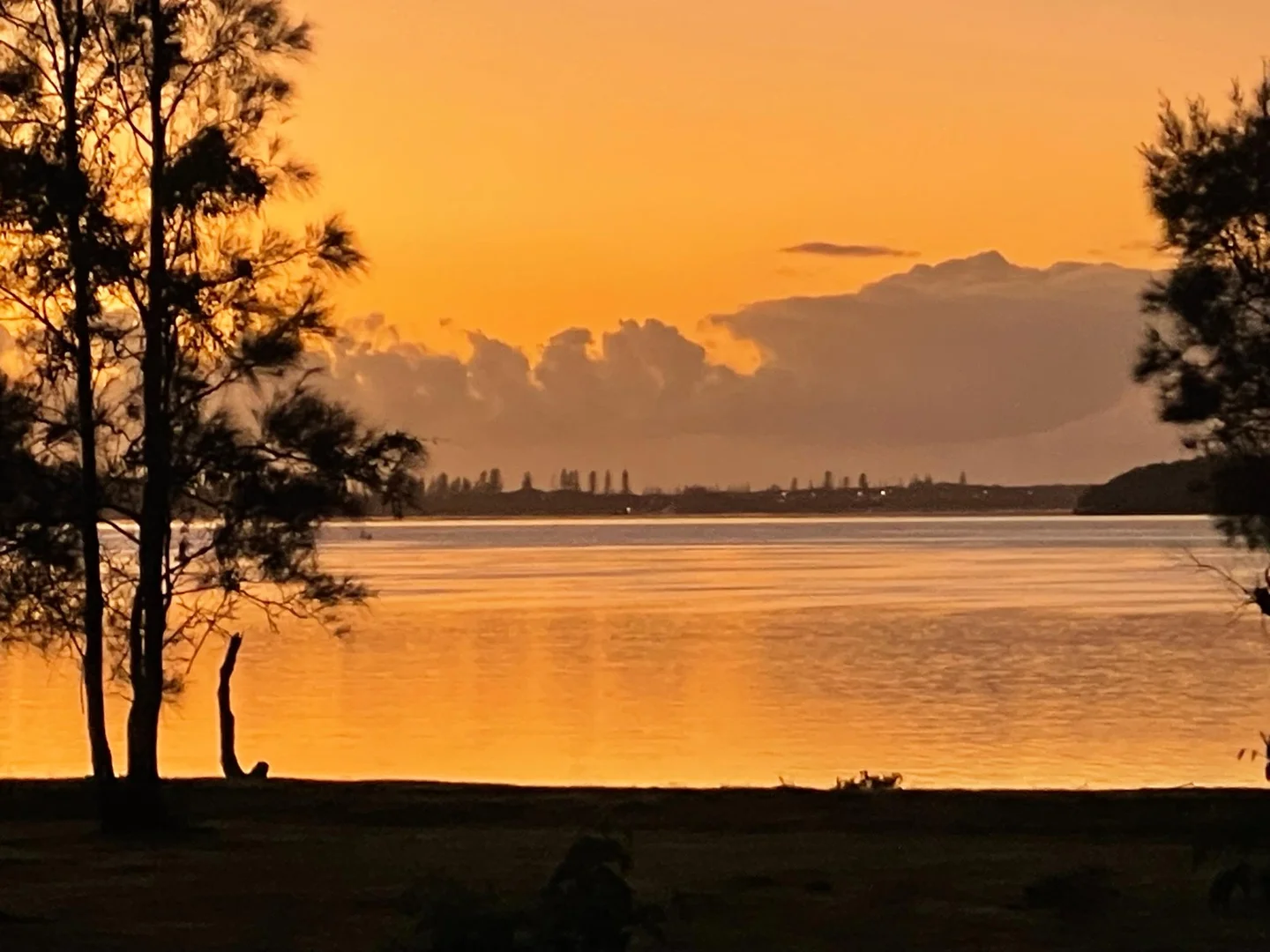 Additional image 16 of 775 Goodwood Island Road, Goodwood Island NSW 2469