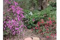 Additional image 45 of 3710 Orchard Ln, Sacramento, CA, 95821