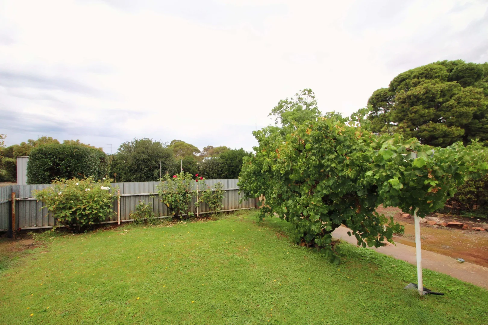 Additional image 5 of 8 Sixth Street, Booborowie SA 5417