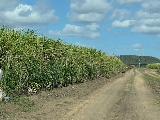 Additional image 6 of 218 Oats Road, Fredericksfield QLD 4806