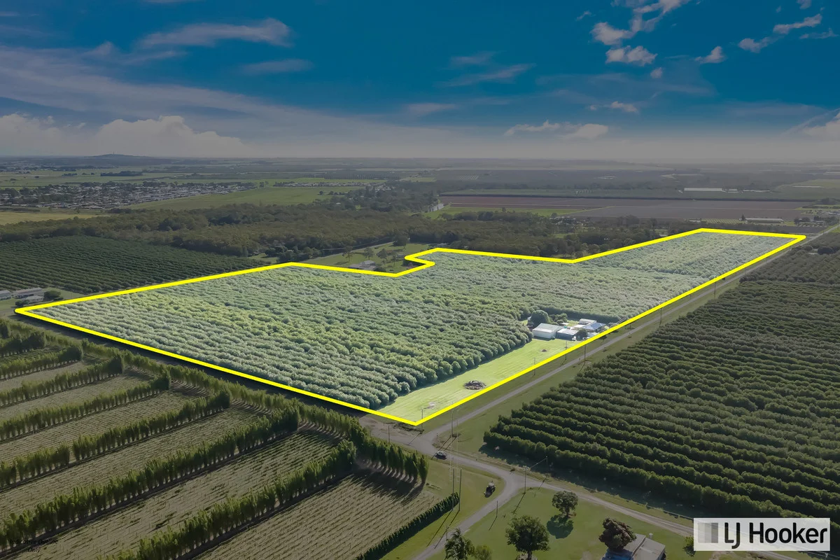 Additional image 2 of 214 Thomasens Road, Alloway QLD 4670