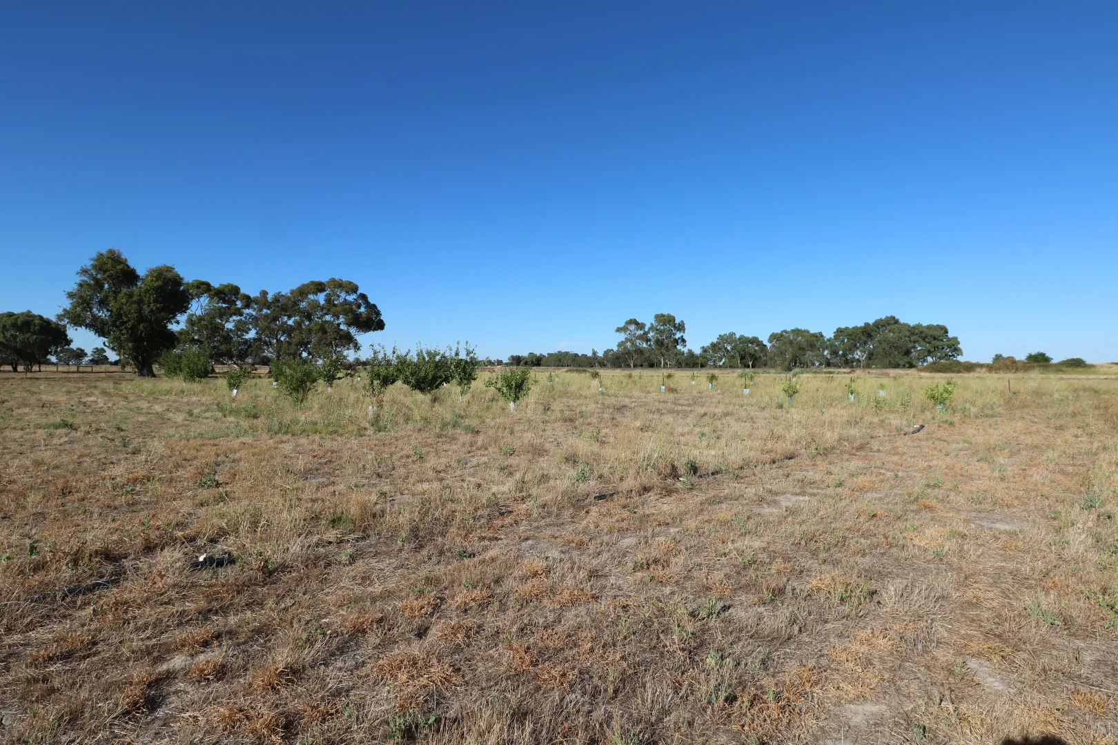 Additional image 19 of 53 Mincha North Road, Mincha VIC 3575