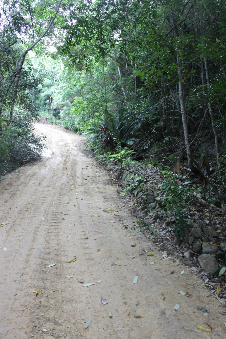 Additional image 28 of 1243 Yakapari-Seaforth Road, Mount Jukes QLD 4740