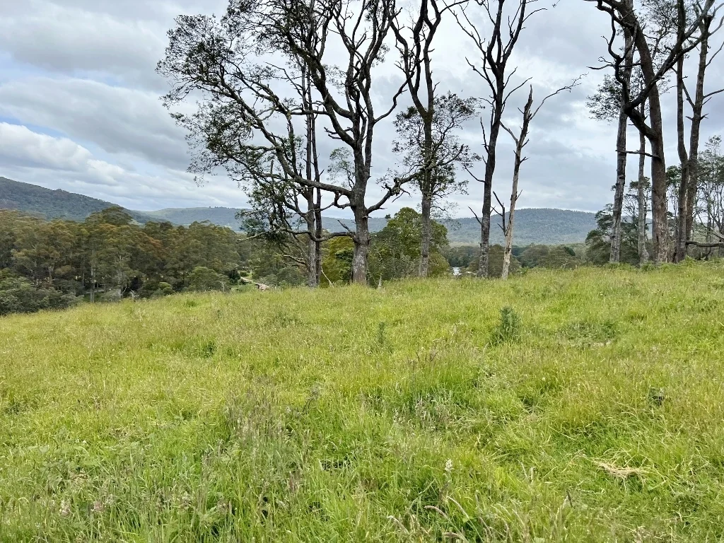 Additional image 5 of Lot 2/Part of 116680 Tasman Highway, Weldborough TAS 7264