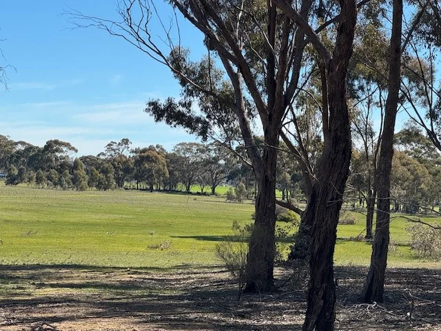 Additional image 22 of 4CA Calder Highway, Wedderburn VIC 3518