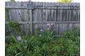 Additional image 25 of 55 N Burbank Dr, Buffalo, NY, 14226