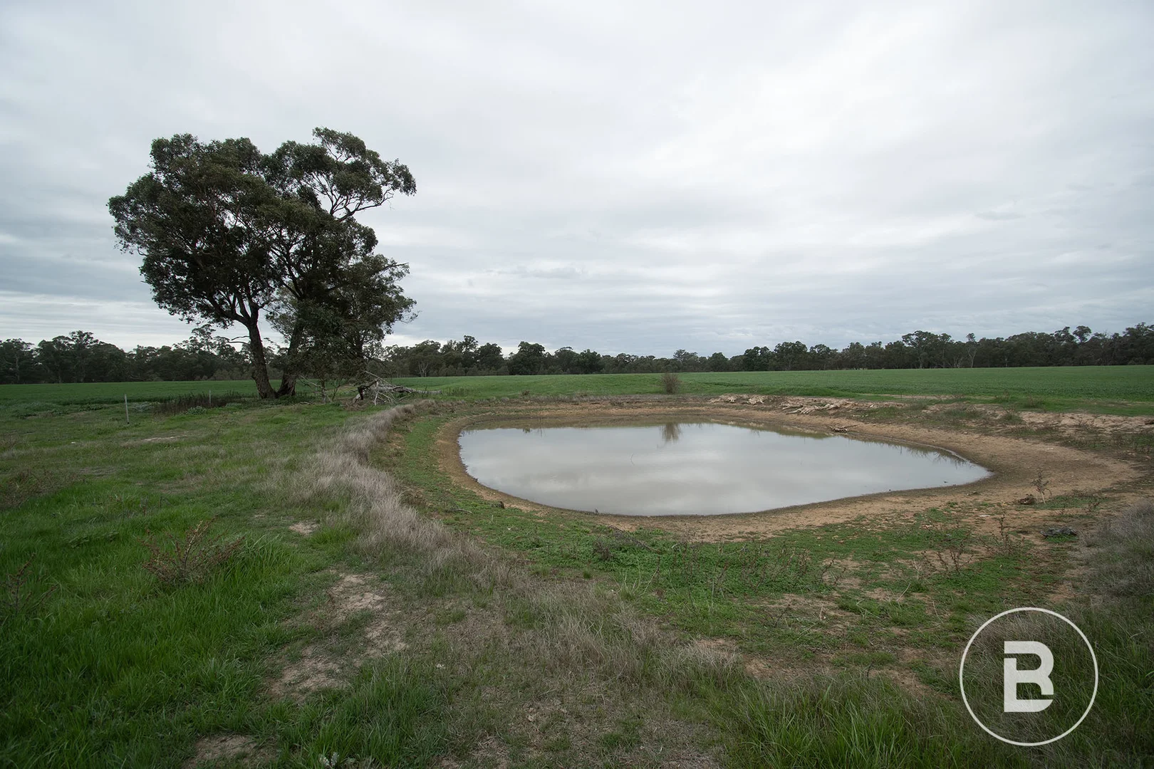 Additional image 10 of 174 Timor Bromley Road, Timor VIC 3465