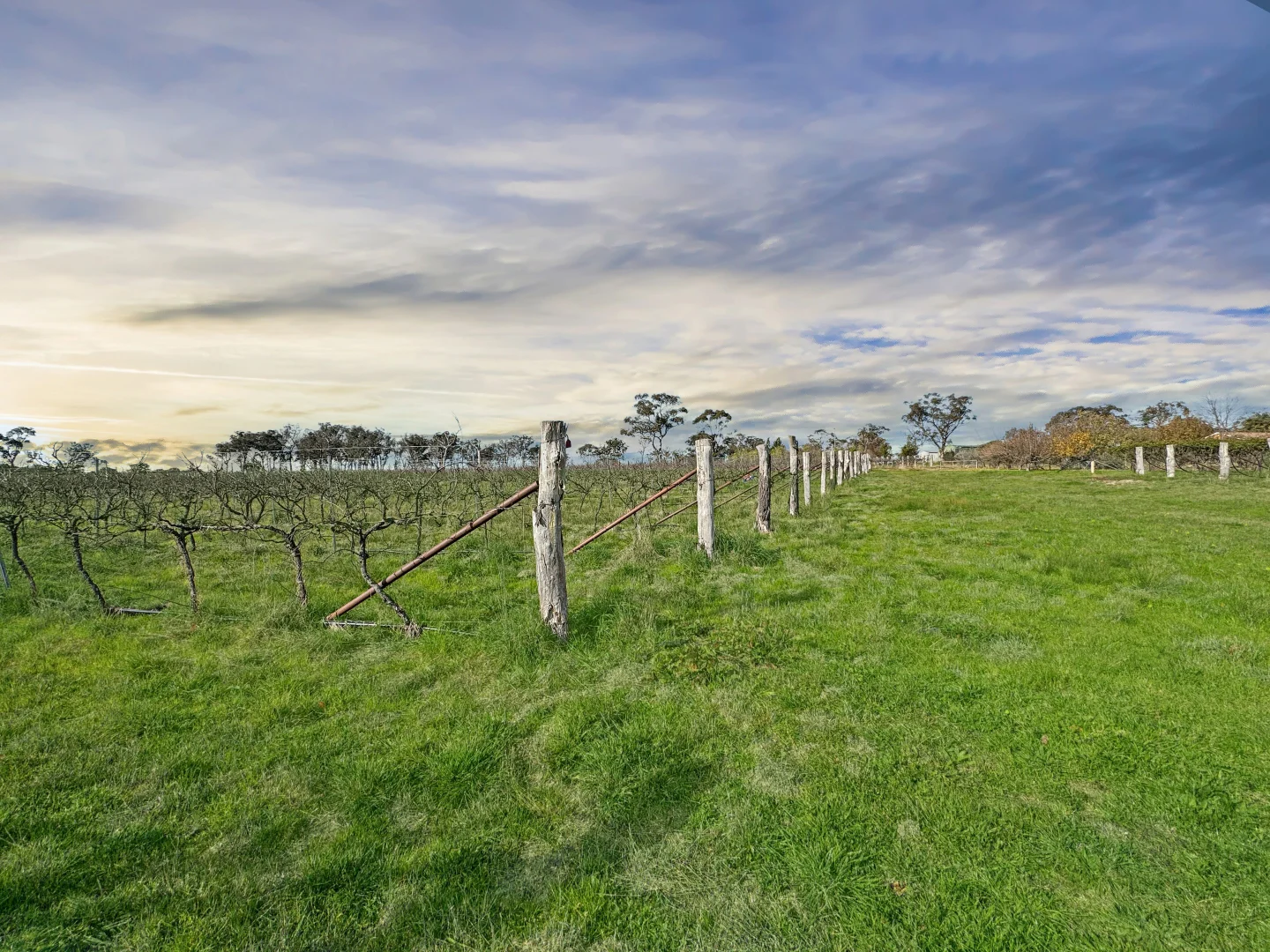 Additional image 14 of 376 Kingstown Road, Uralla NSW 2358