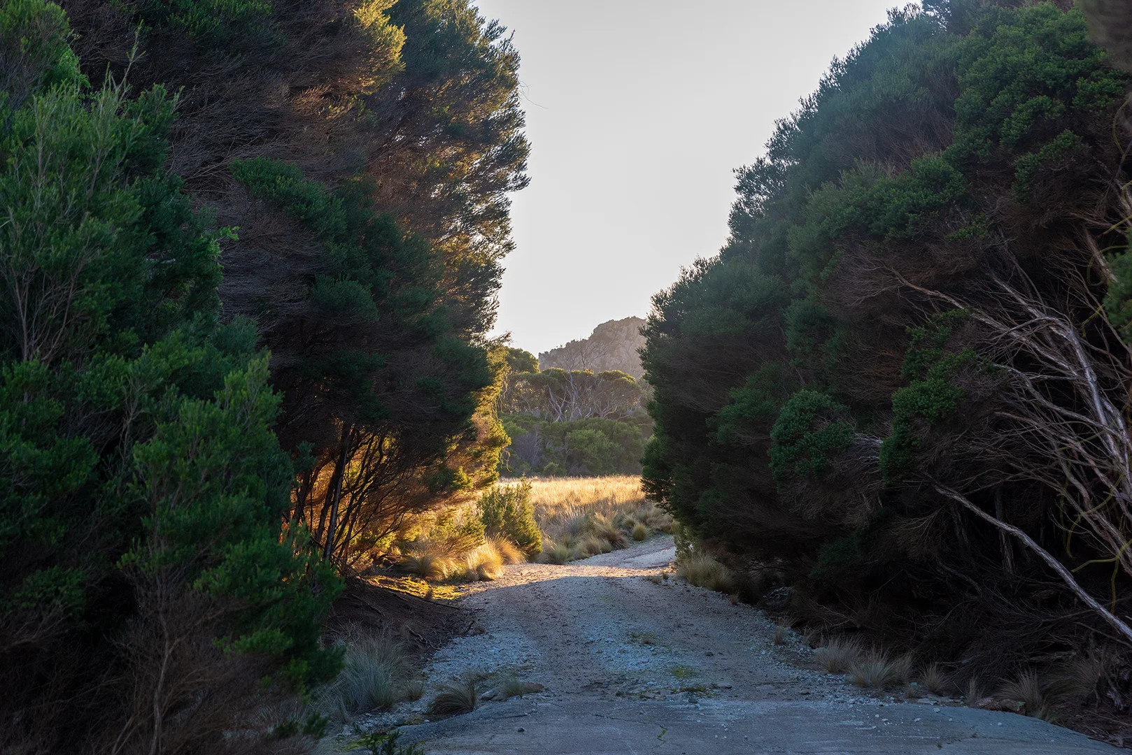 Additional image 12 of Lot 3 Boat Harbour Road, Killiecrankie TAS 7255