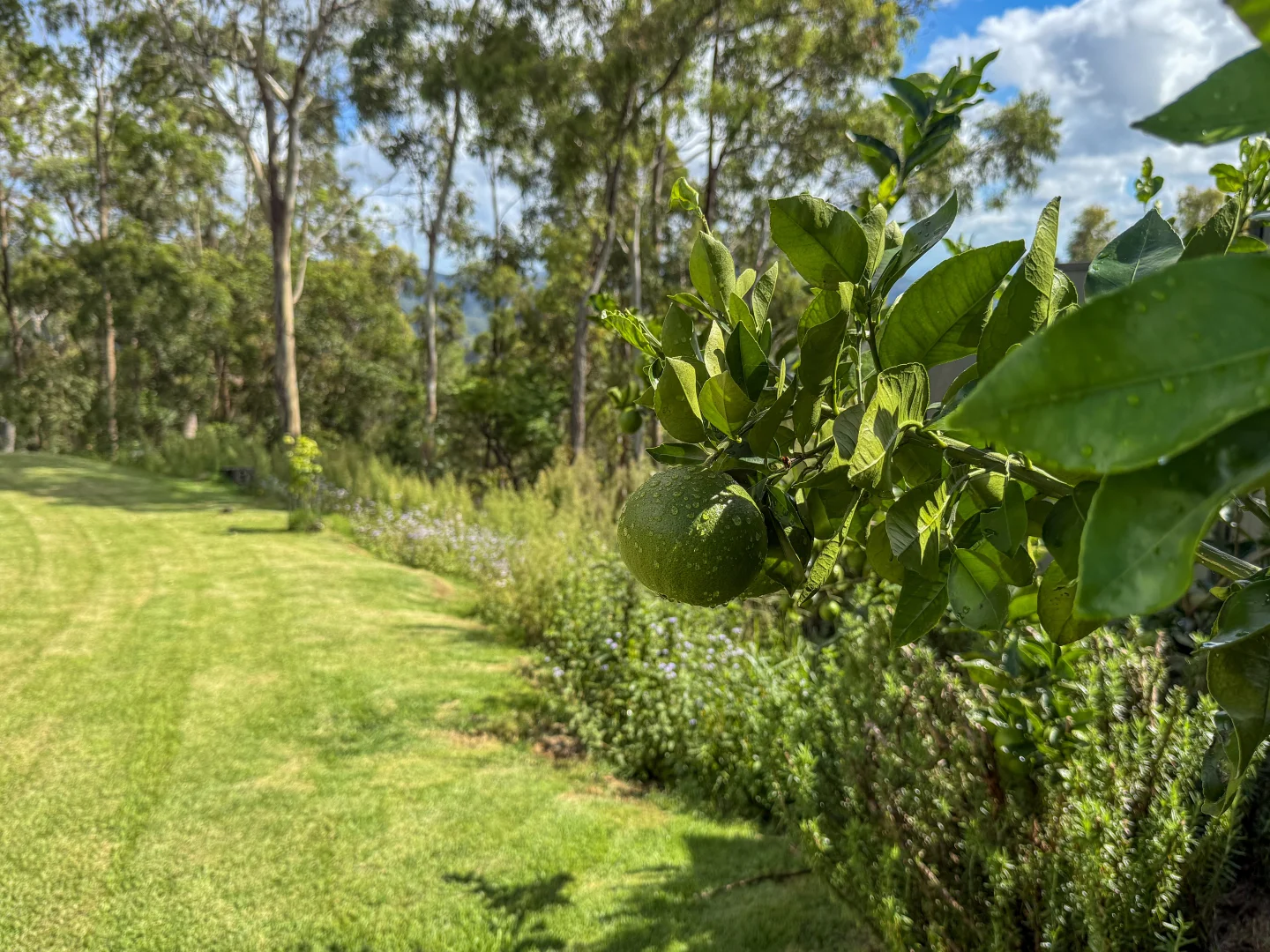 Additional image 16 of 21 Wildflower Court, Clagiraba QLD 4211
