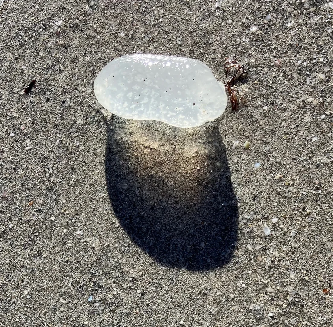 Additional image 31 of 18 Mitchell Street, Horrocks WA 6535