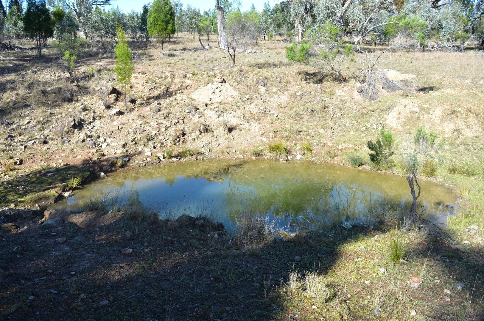 Additional image 10 of Hollybank Road, Inglewood QLD 4387