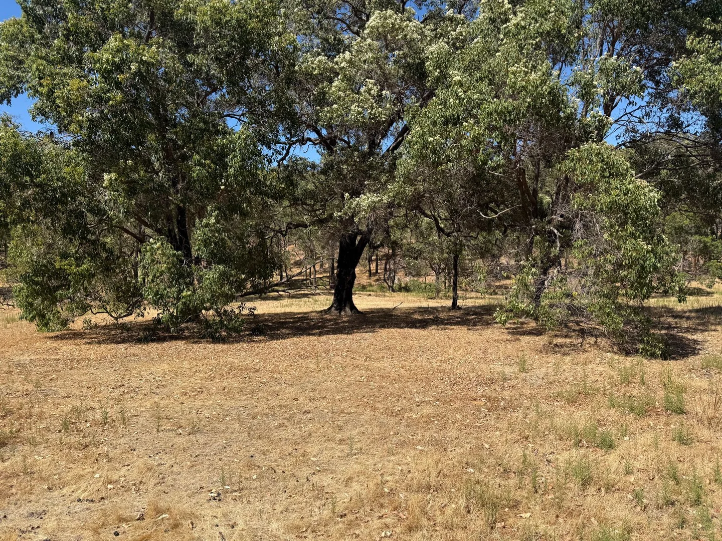 Additional image 6 of 59 Lyons Road, Waroona WA 6215