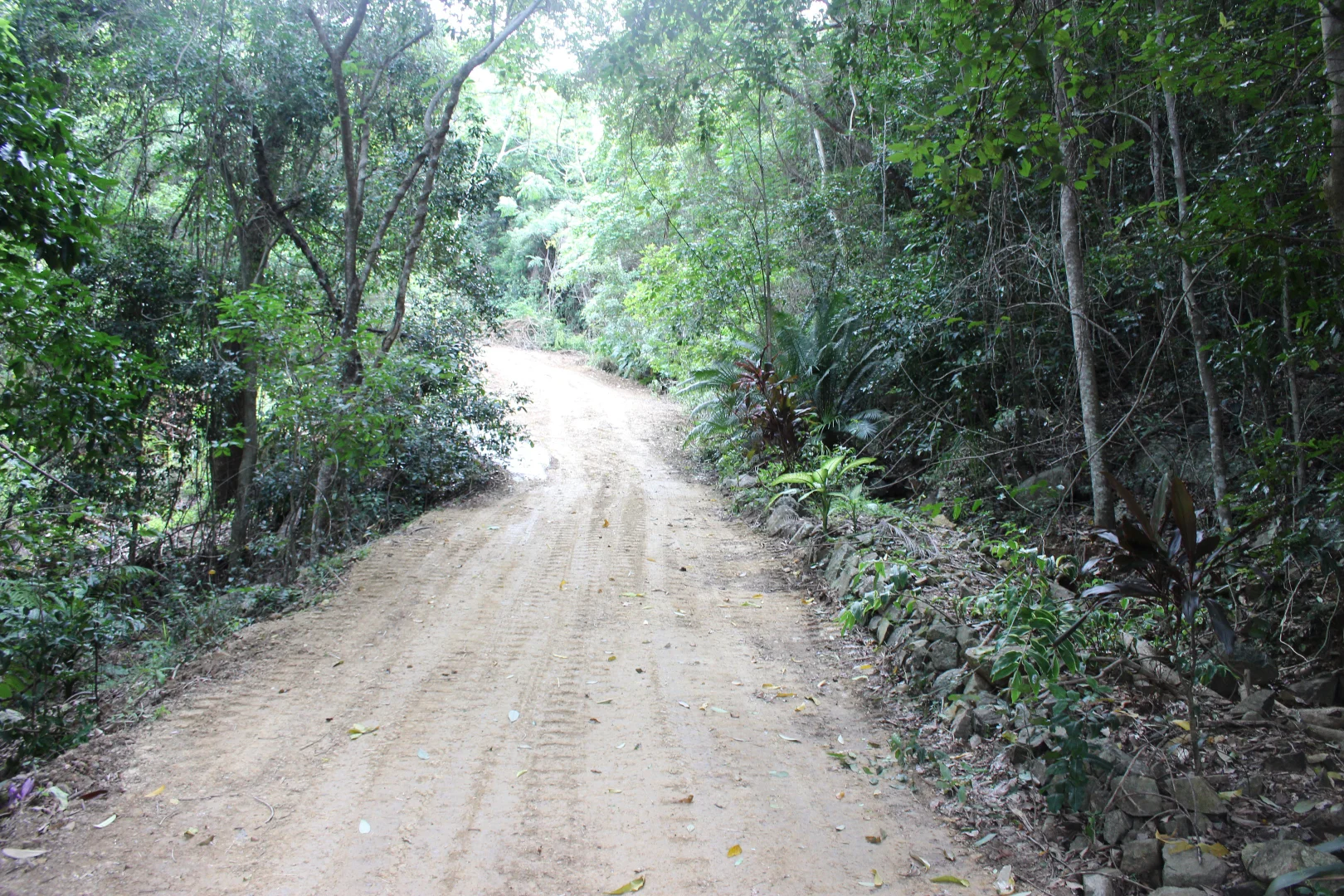 Additional image 27 of 1243 Yakapari-Seaforth Road, Mount Jukes QLD 4740