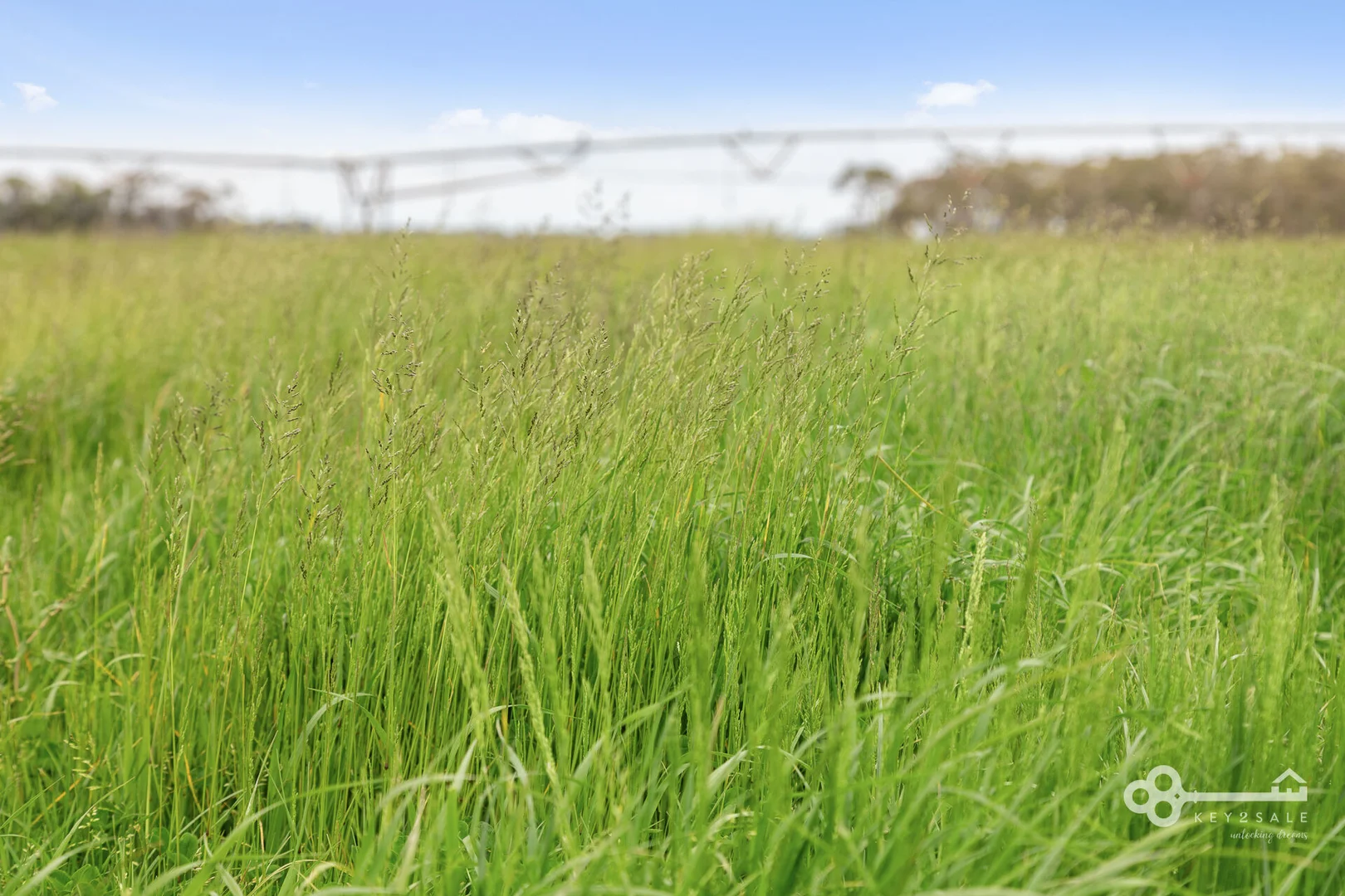 Additional image 8 of 560 McKenzie Road, Mingbool SA 5291