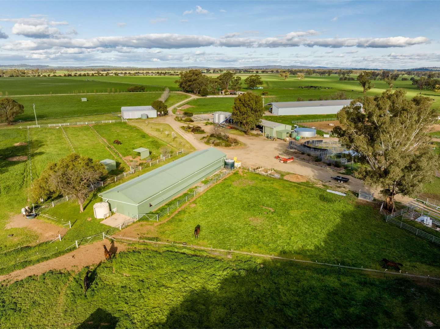 Additional image 22 of 1871 Old Narrandera Road, Euberta NSW 2650