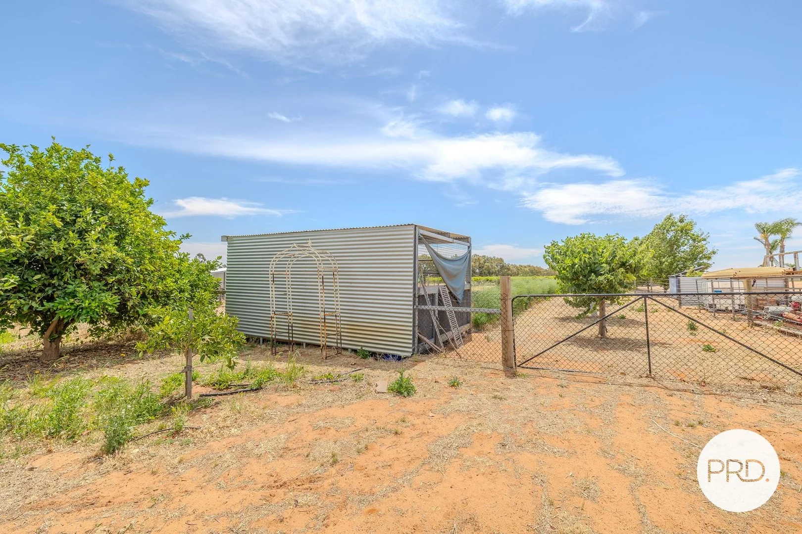 Additional image 26 of 169 Euston Avenue, Irymple VIC 3498