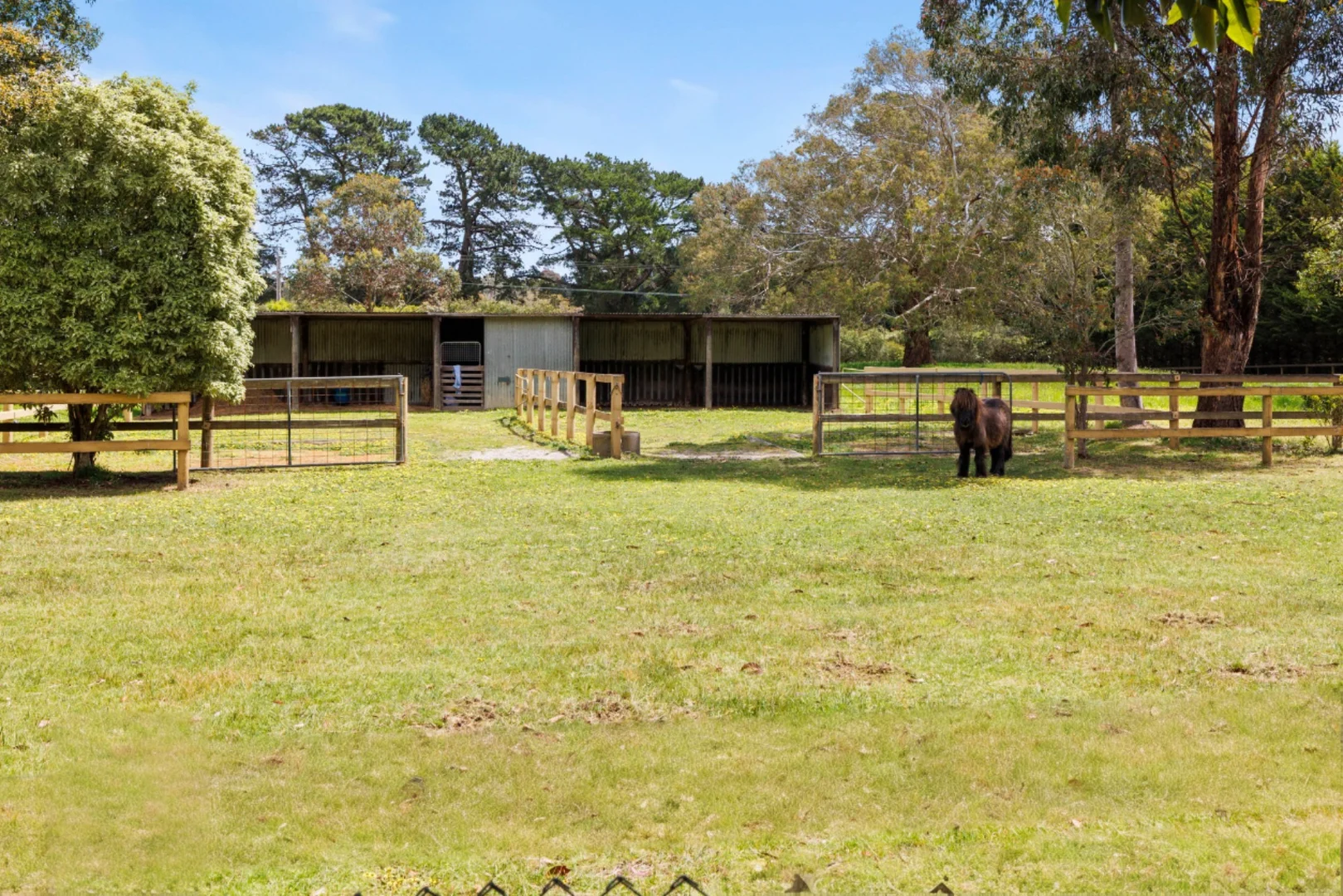 Additional image 17 of 1010 Stumpy Gully Road, Moorooduc VIC 3933