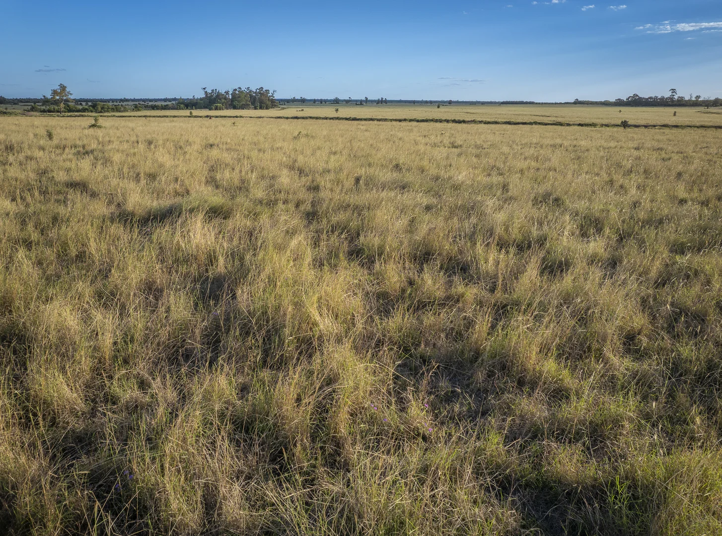 Additional image 4 of 267 Bennett School Road, Tara QLD 4421