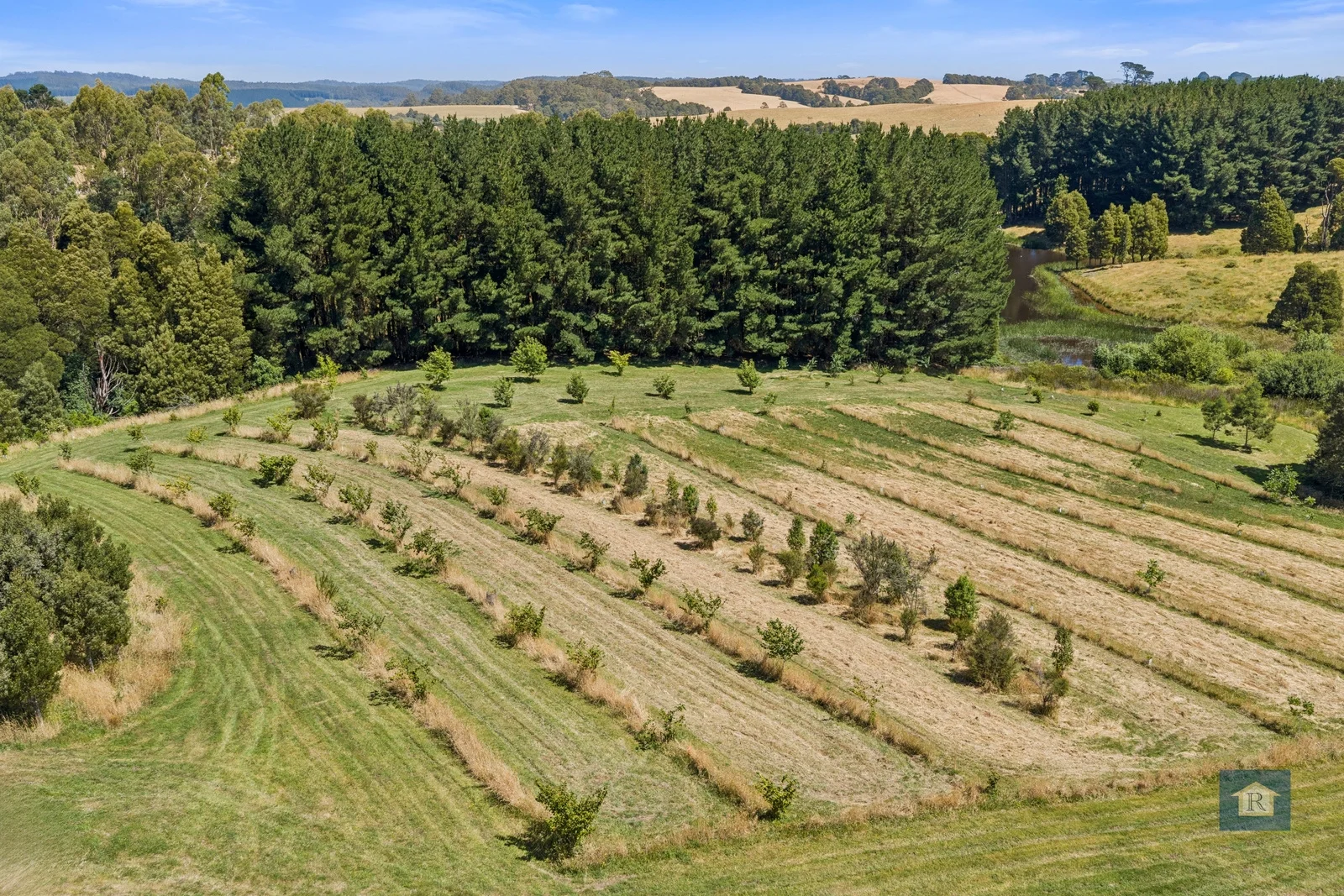 Additional image 2 of 22 Old Main Road, Beech Forest VIC 3237