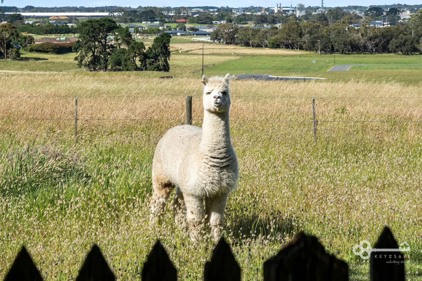 Additional image 44 of 186 Mount Percy Road, Compton SA 5291