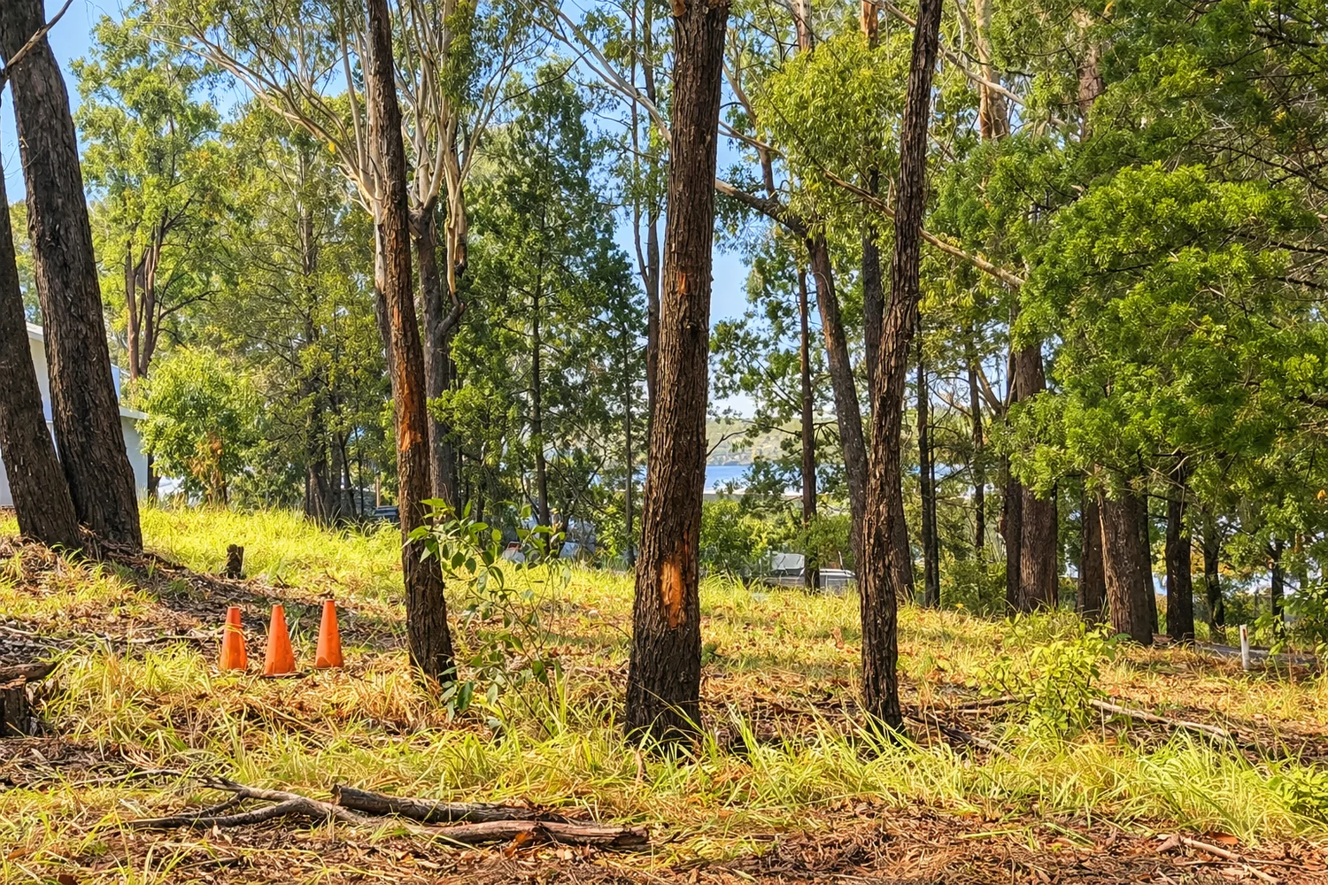 Additional image 2 of 5 Callistemon Street, Russell Island QLD 4184