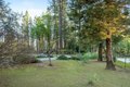 Additional image 66 of 13506 Squirrel Creek Rd, Grass Valley, CA, 95945