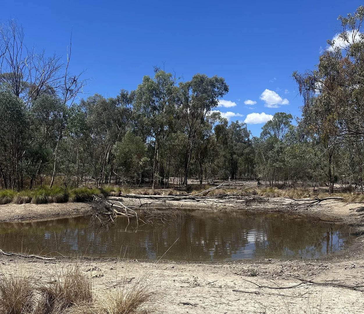Additional image 14 of Mosquito Creek Road, Inglewood QLD 4387