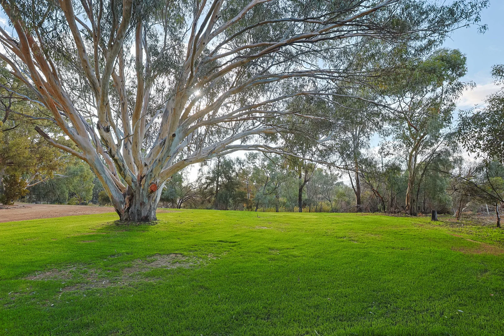 Additional image 26 of 115 - 117 Wentworth Street, Wentworth NSW 2648