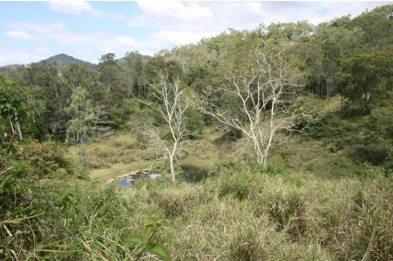 Additional image 18 of 248 Middle Creek Road, Sarina QLD 4737