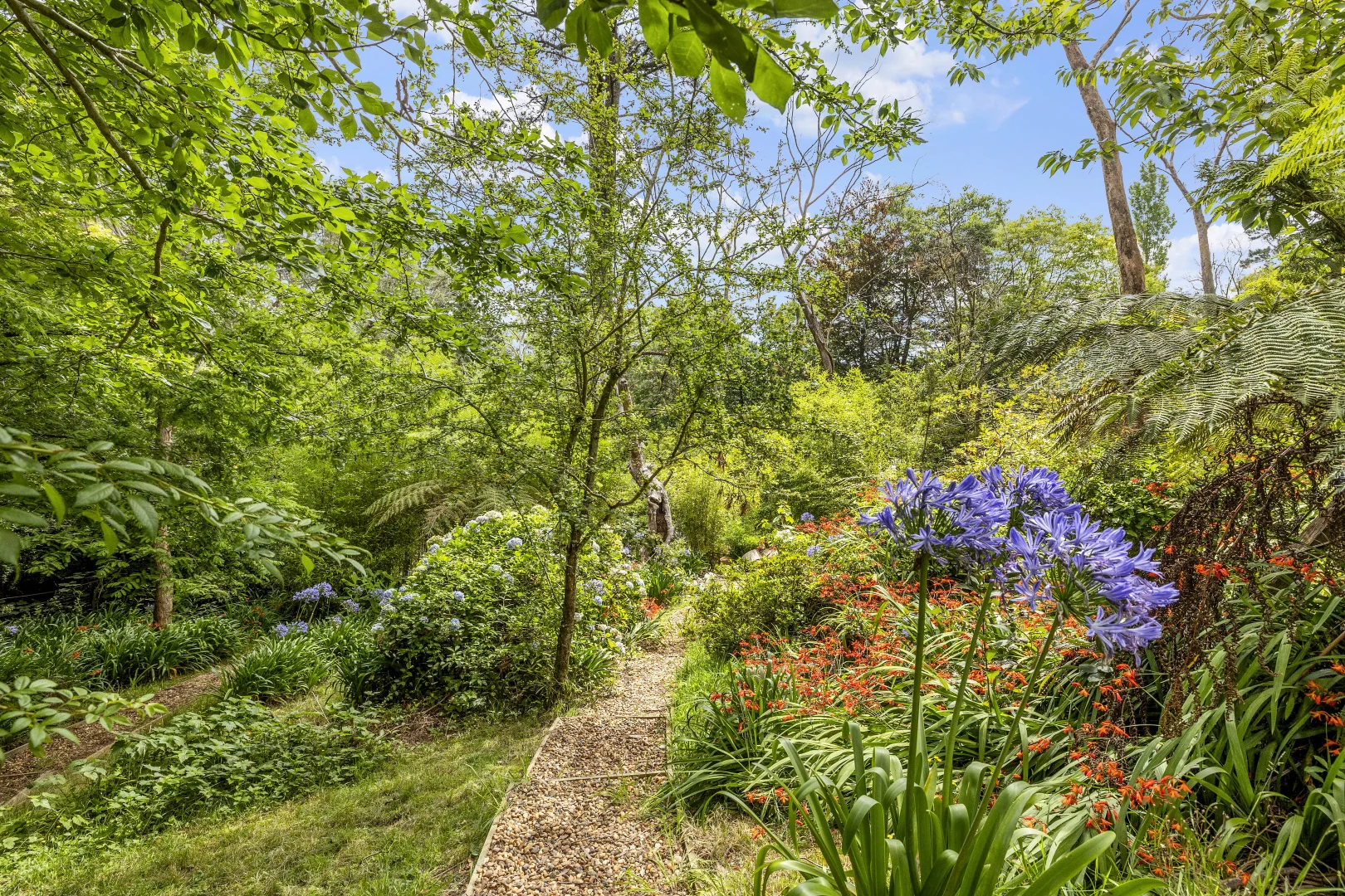 Additional image 23 of 3 Wentworth Ave, Leura NSW 2780