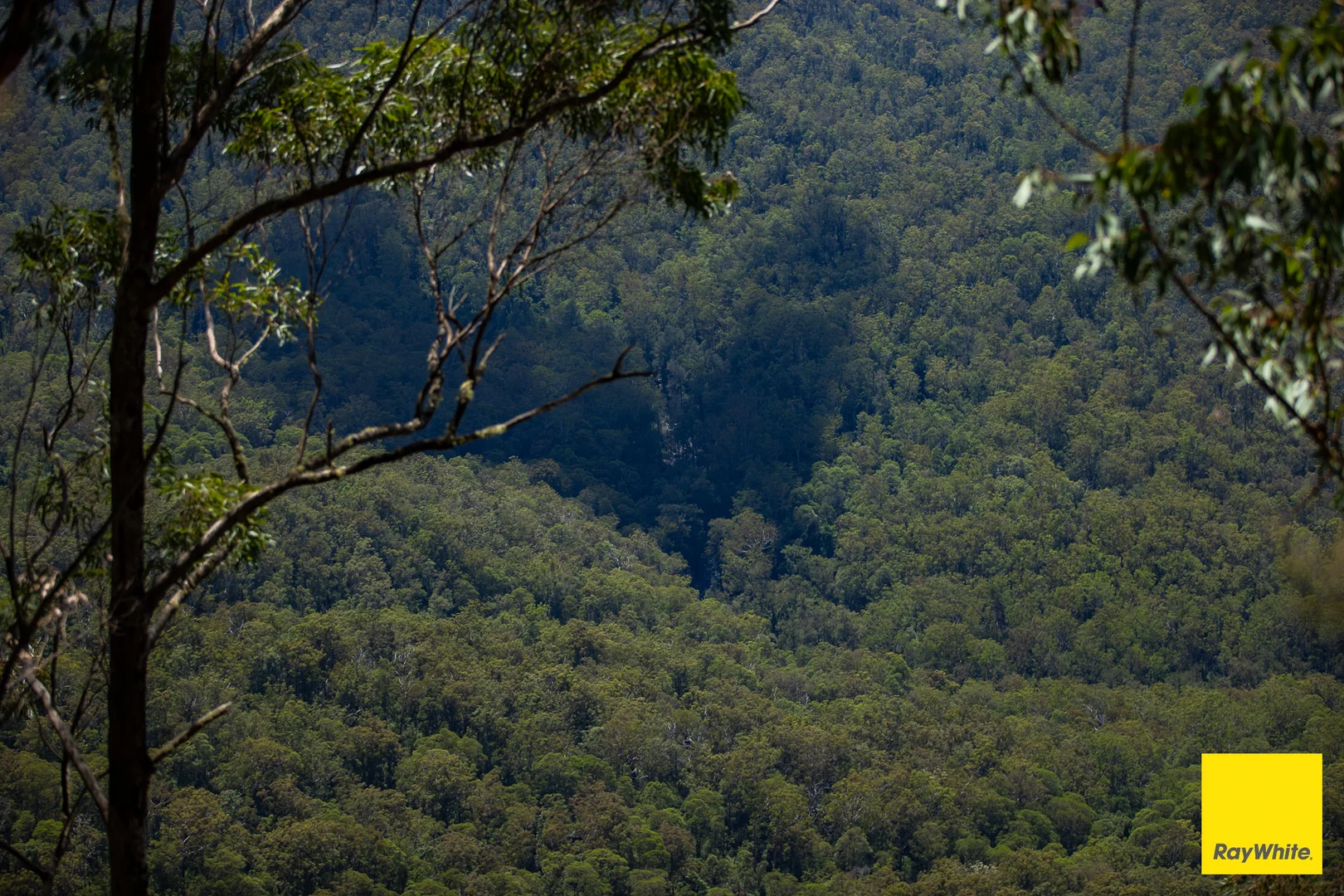 Additional image 5 of Lower Creek NSW 2440