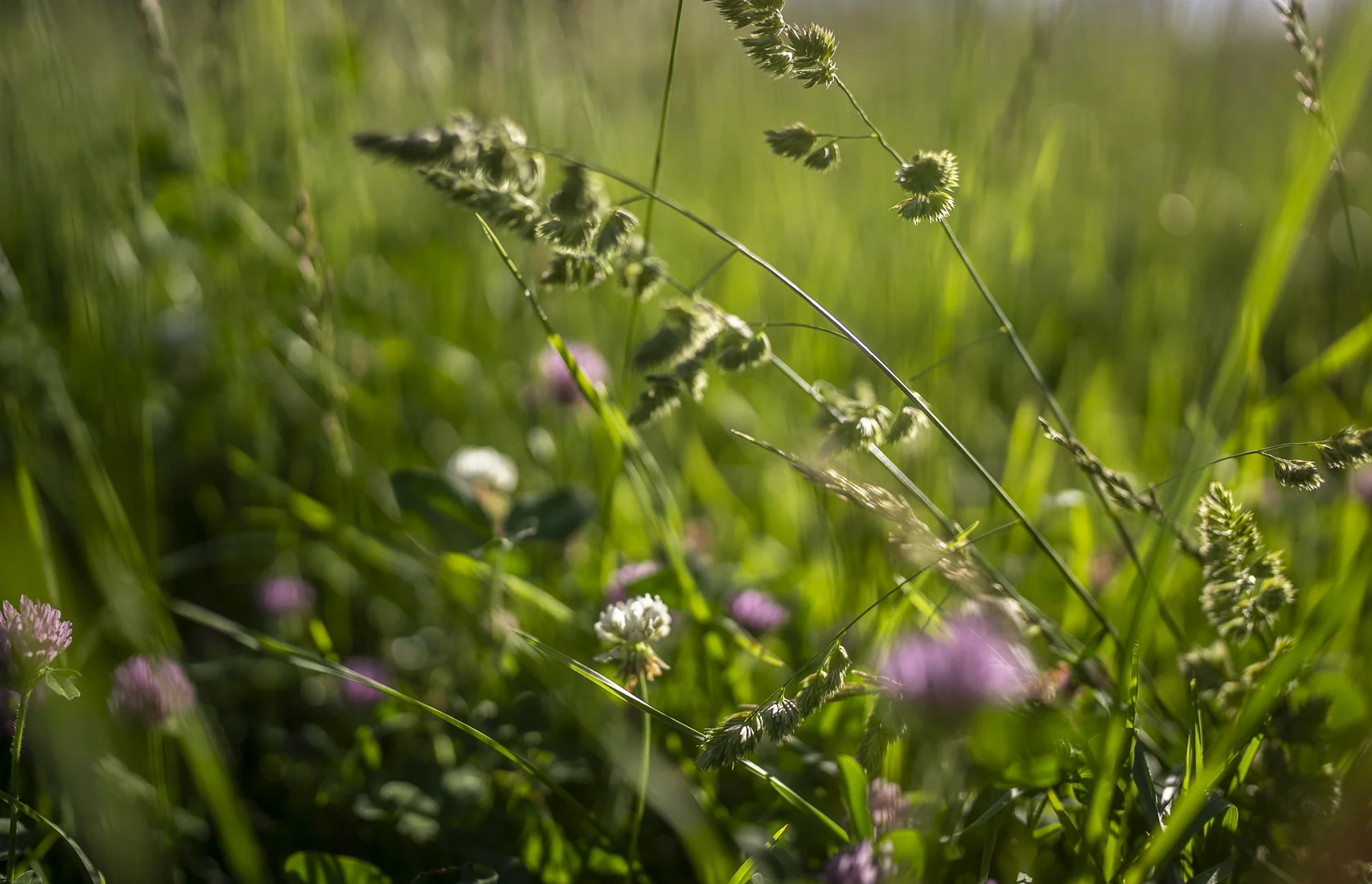 Additional image 26 of 338 Fishington Road, Wongwibinda NSW 2350