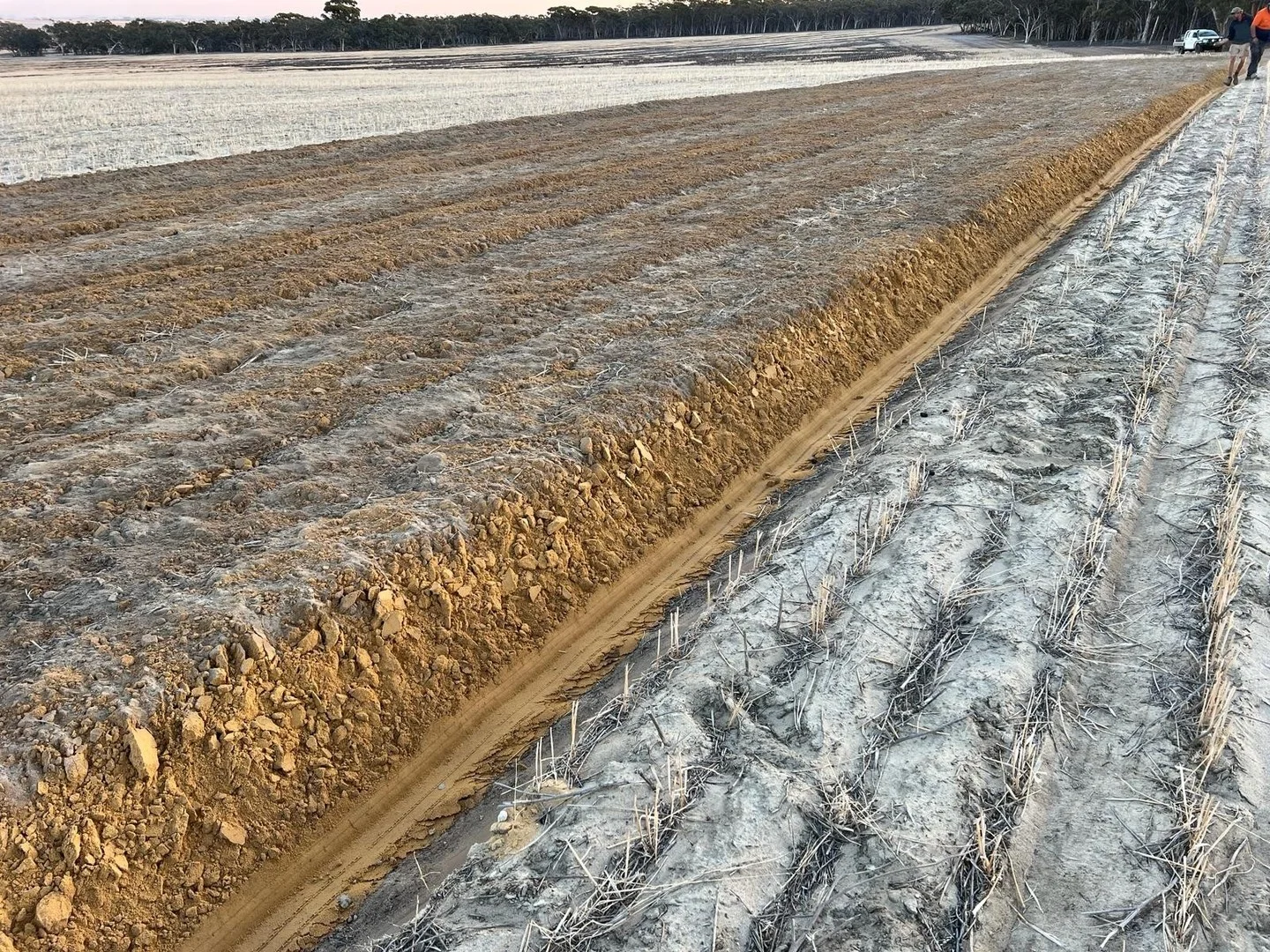 Additional image 7 of . 'Wells', Quairading WA 6383