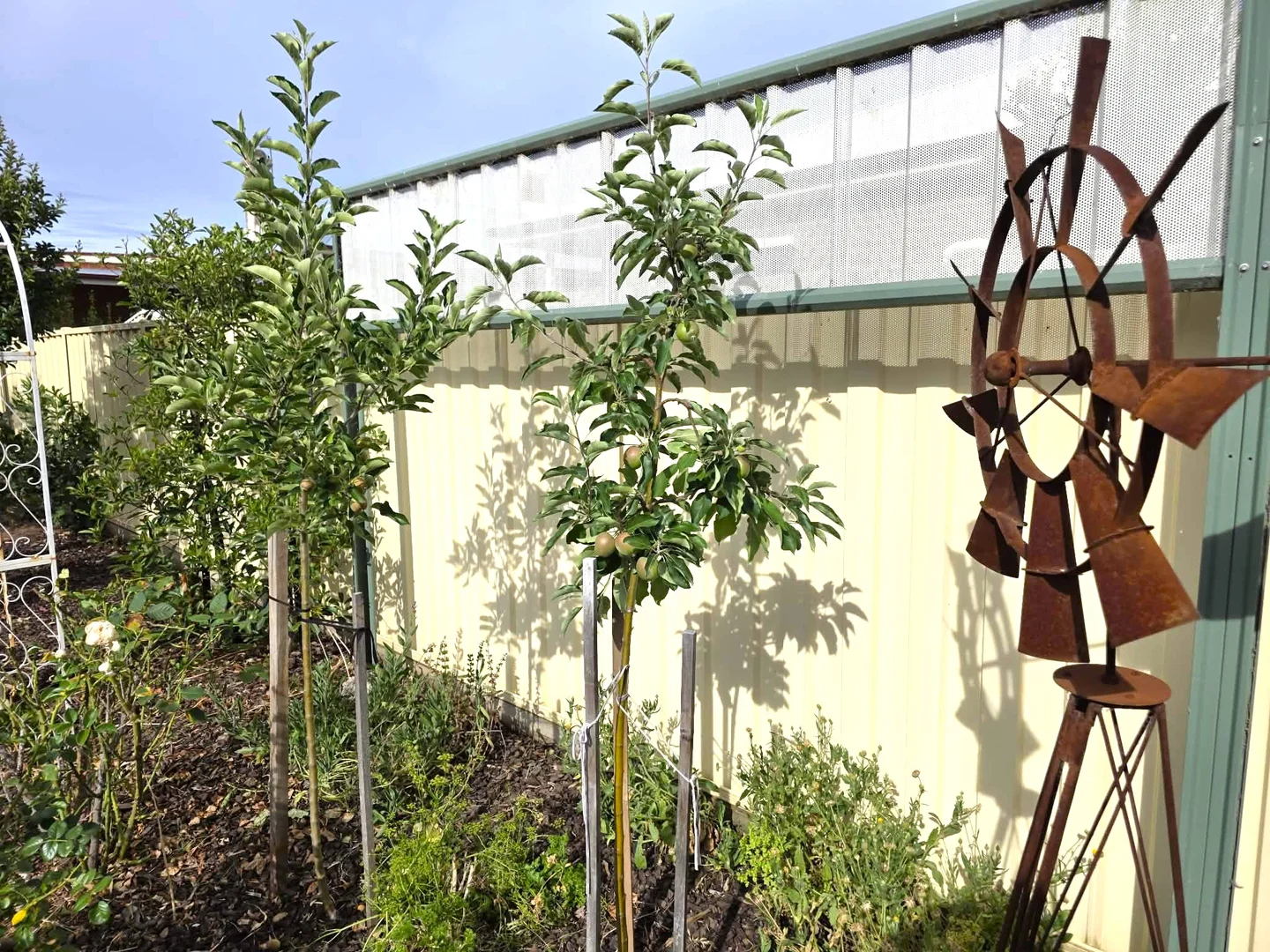 Additional image 20 of 42 Cardwell Street, Elmore VIC 3558