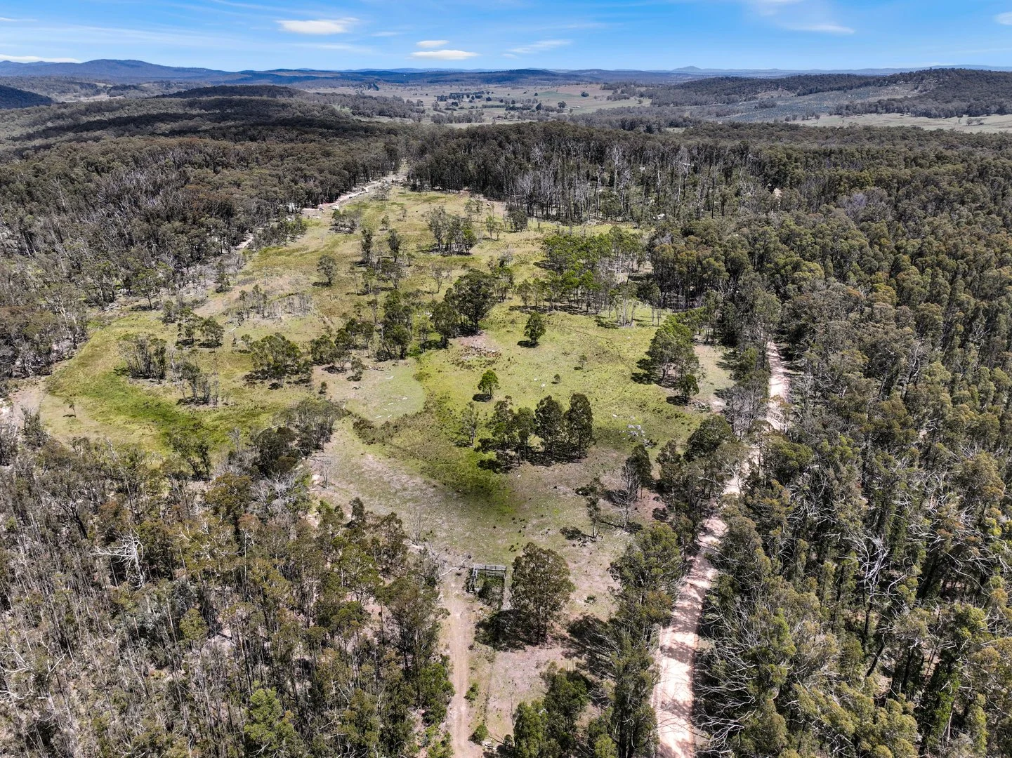 Additional image 23 of Lot 51 Tantawangalo Mountain Road, Cathcart NSW 2632