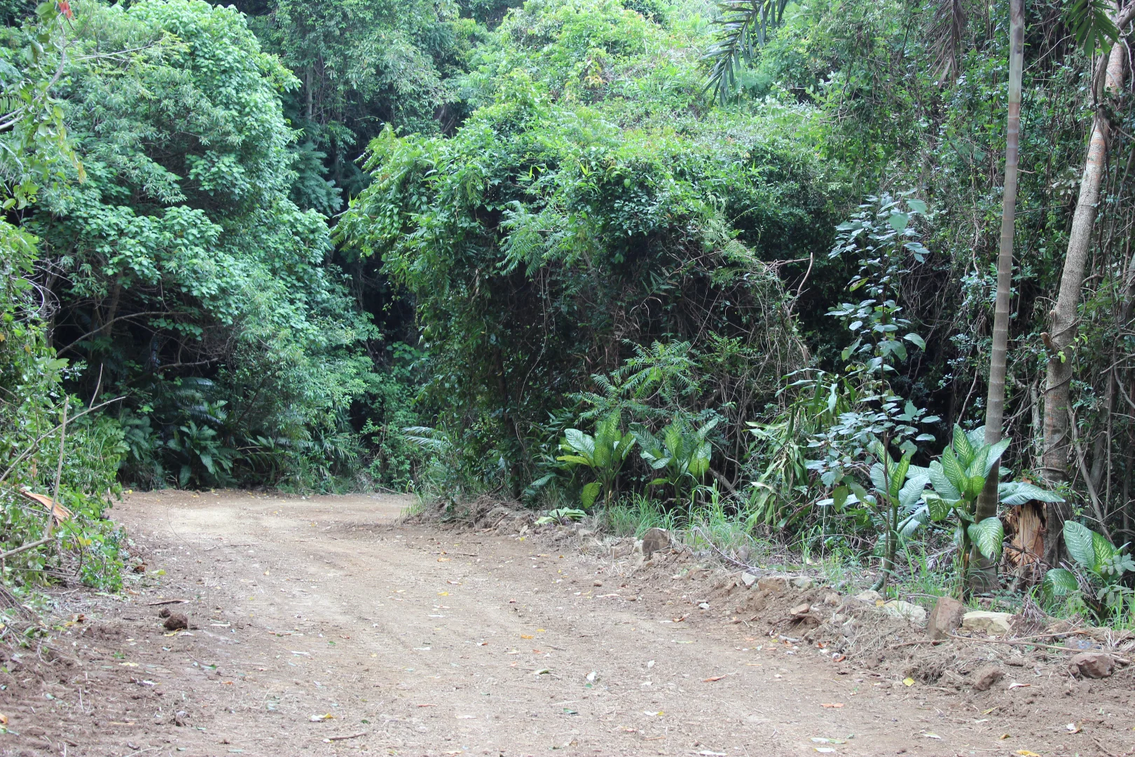 Additional image 22 of 1243 Yakapari-Seaforth Road, Mount Jukes QLD 4740