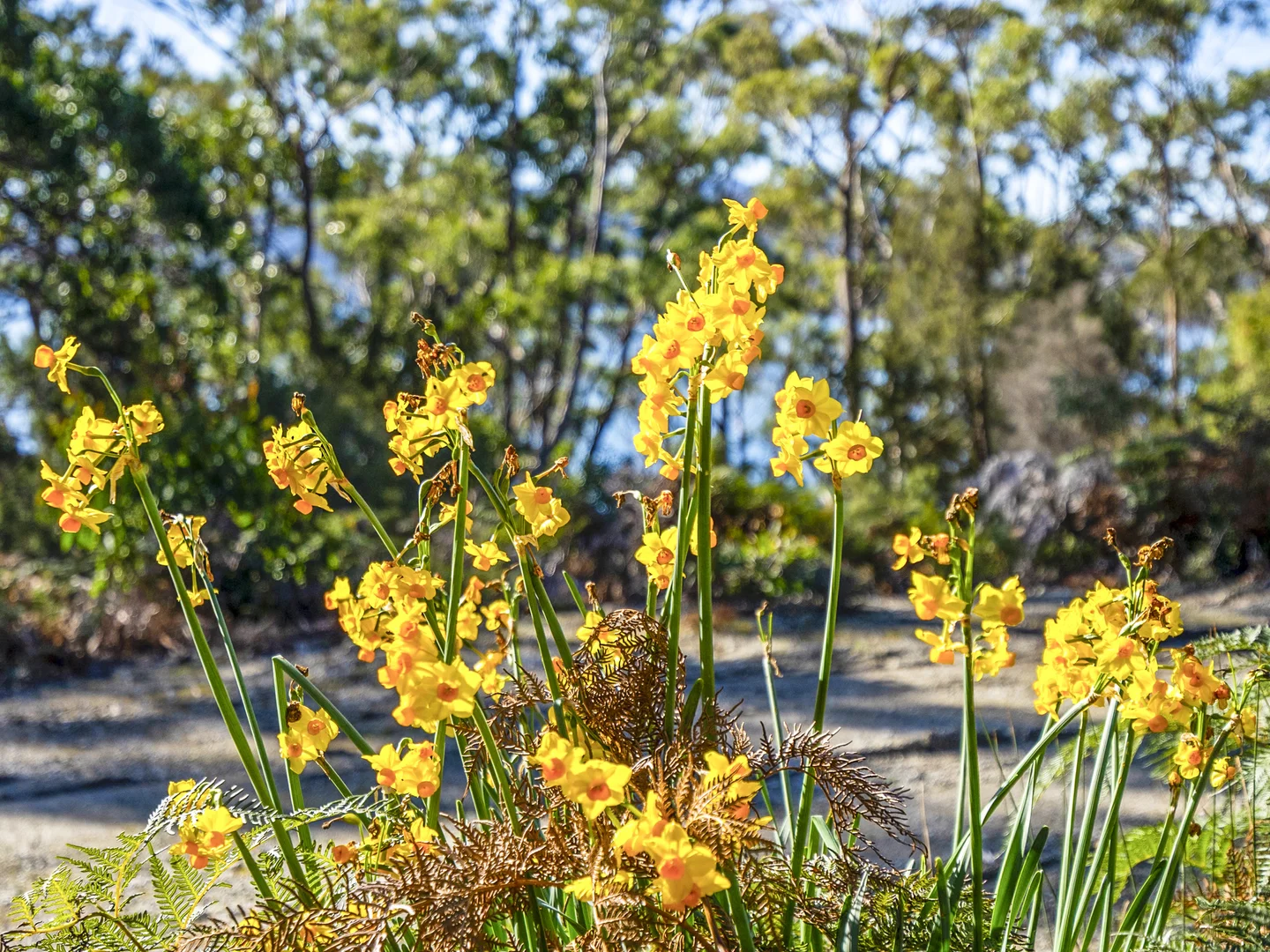 Additional image 34 of 1, 1, 2 Sympathy Point Road, Taranna TAS 7180