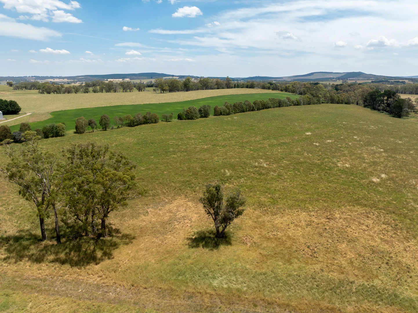 Additional image 26 of 56 Orchard Road, Springside NSW 2800