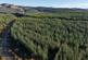 Additional image 4 of Kirnan Wood, Near Lochgilphead, Argyll & Bute  PA31