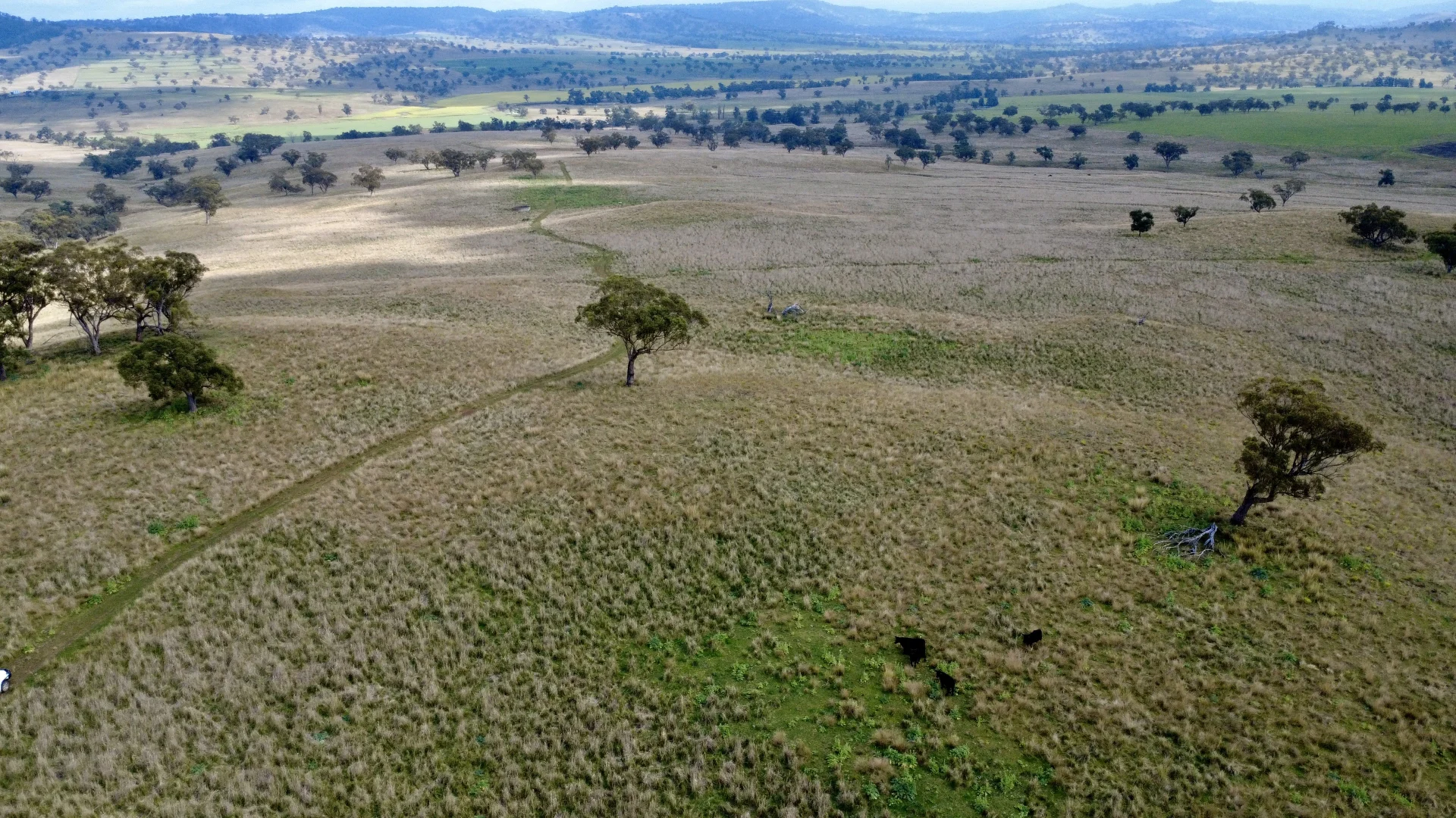 Additional image 7 of 955 "Wirringulla" Coulsons Creek Road, Merriwa NSW 2329