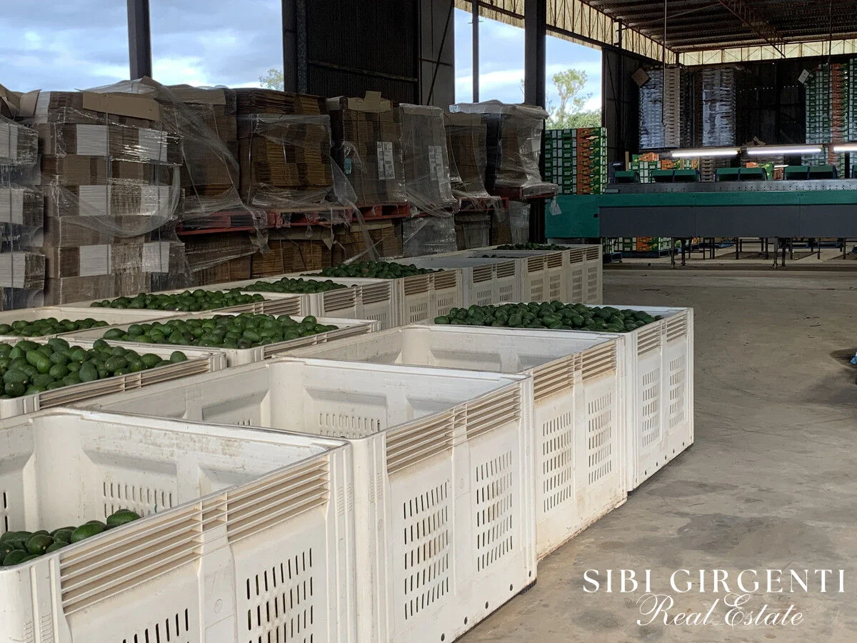 Additional image 22 of 1611 Mareeba-Dimbulah, Arriga QLD 4880