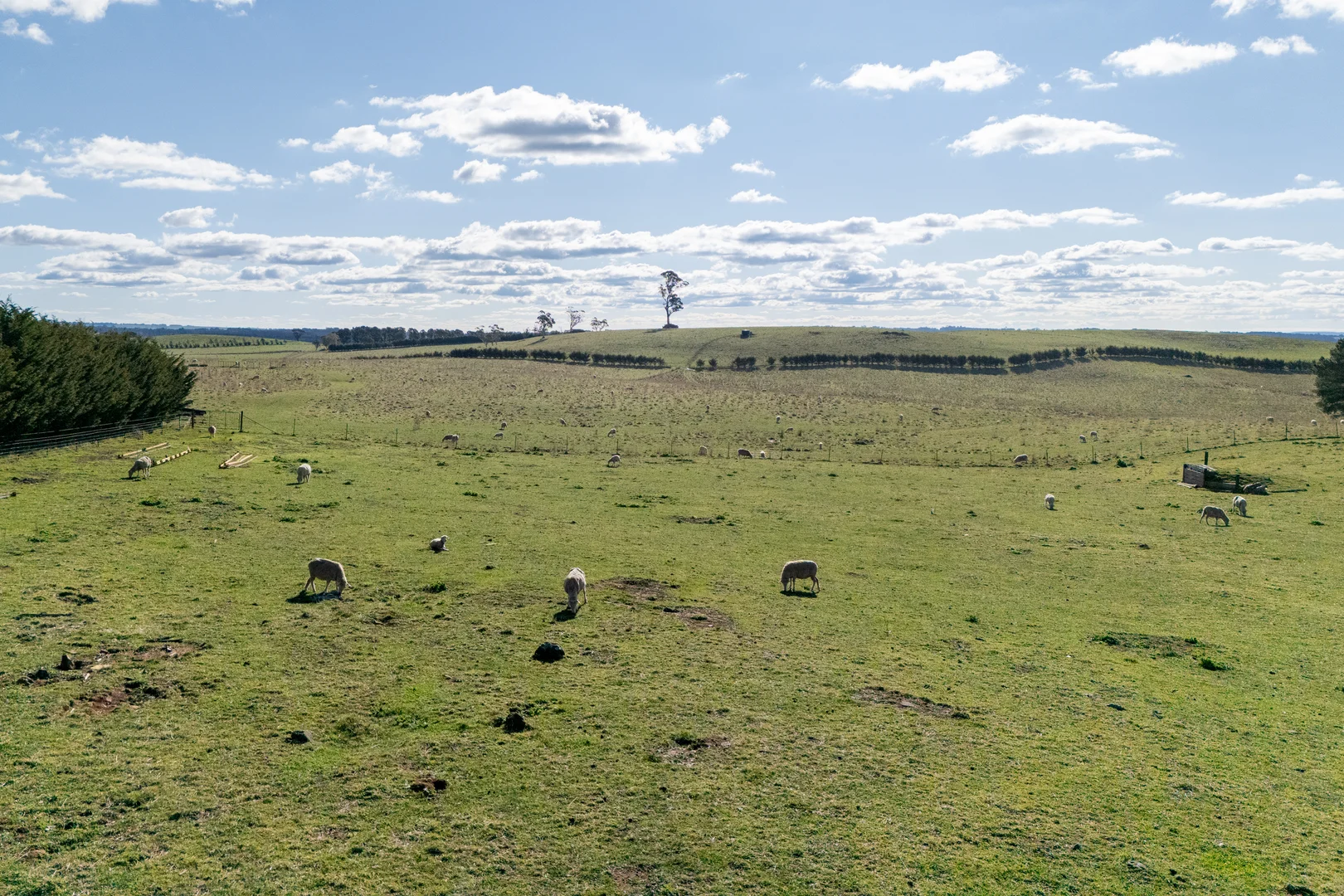 Additional image 7 of 239 McAlister Road, Laggan NSW 2583