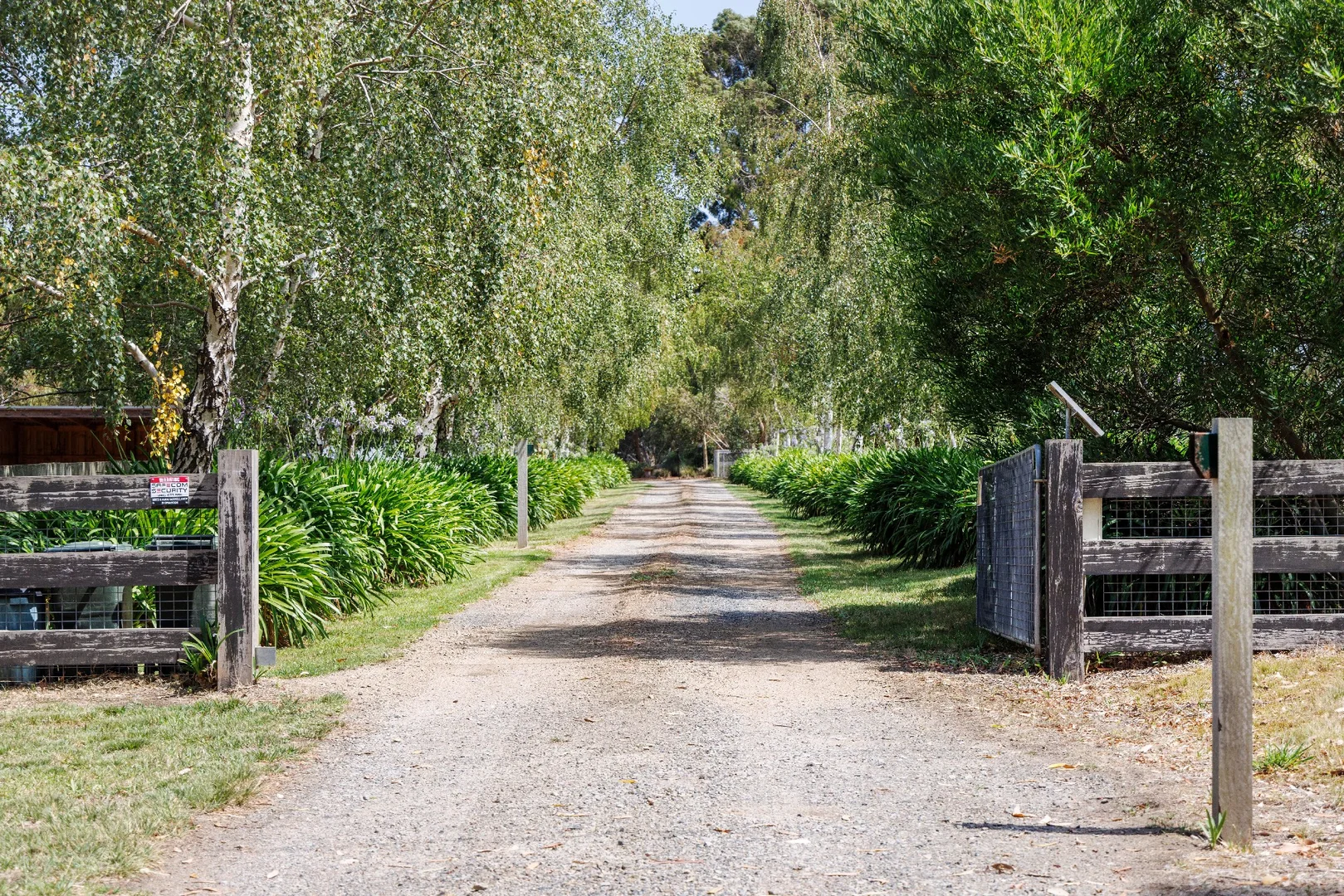 Additional image 26 of 345 Stumpy Gully Road, Balnarring VIC 3926