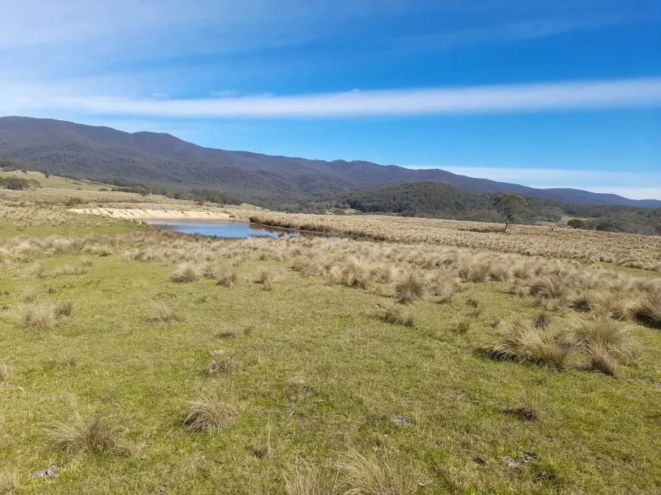 Additional image 19 of 102 Kain Cross Road, Braidwood NSW 2622